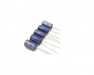 100uF 25V Electrolytic Capacitor