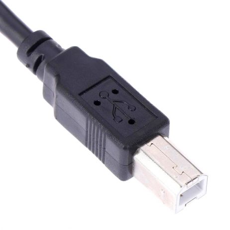 Usb Cable B-B,Length 500Mm - Image 2