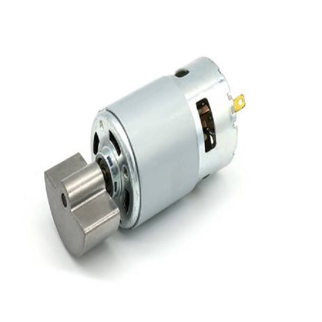 Sector 775 Dc24 8000Rpm/Min Sector Shape High Speed Strong Vibration Motor (With Vibrating Head)